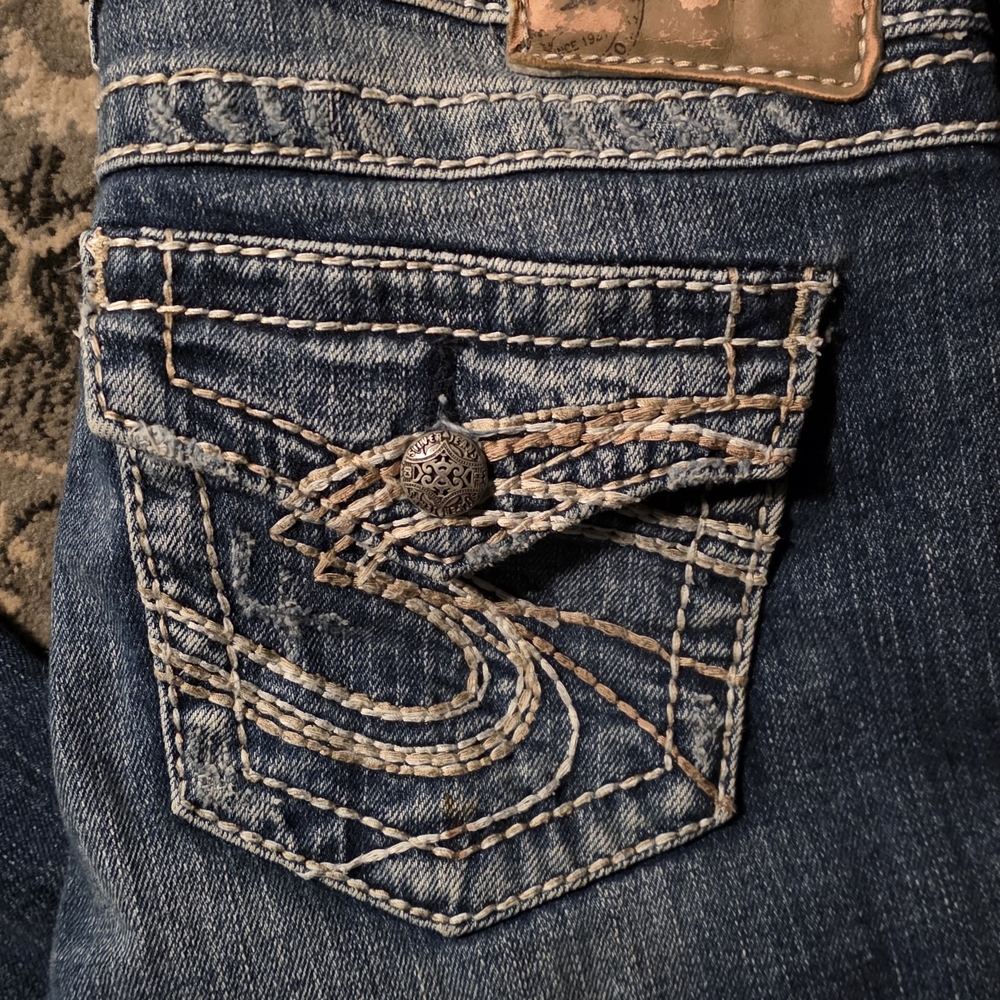 SILVER PIONEER 25×31 - Picture 3 of 13
